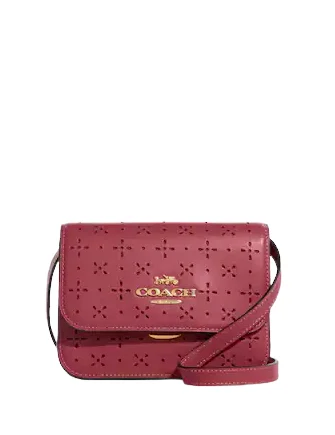 Tote Bag For Everyday Use Coach Mini Brynn Crossbody Everyday Elegance At Special Prices Tote Bag For Everyday Use Coach Mini Brynn Crossbody Everyday Elegance At Special Prices